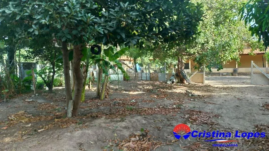 Fazenda, 2 hectares - Foto 29