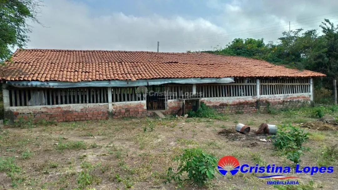 Fazenda, 2 hectares - Foto 14