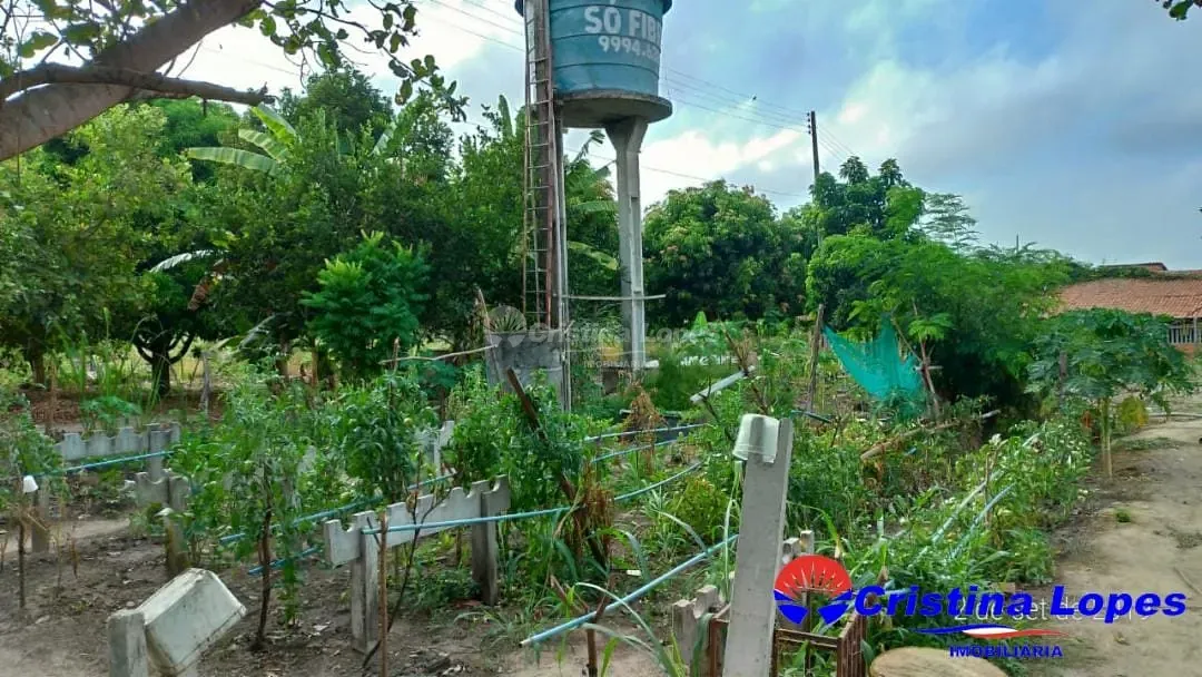 Fazenda, 2 hectares - Foto 13