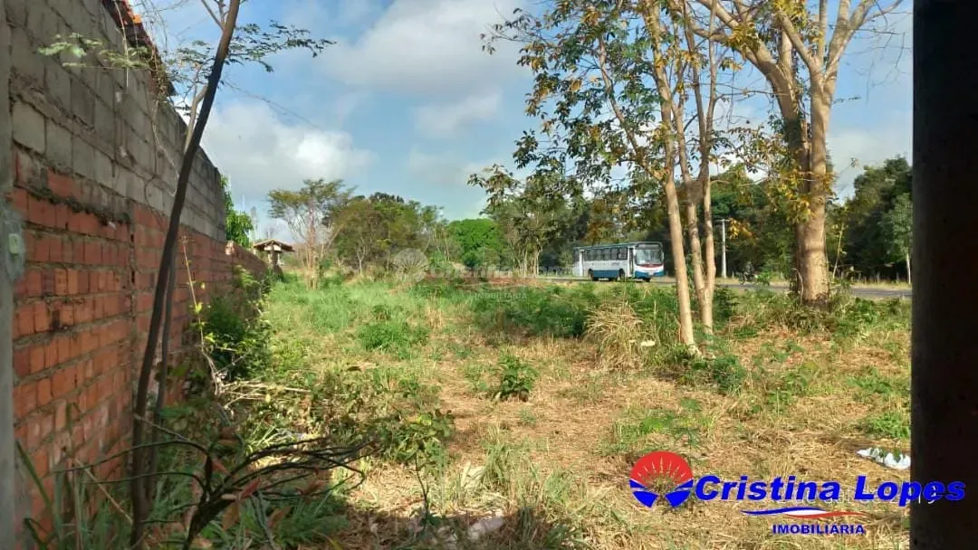 Fazenda, 2 hectares - Foto 41