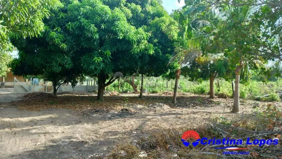 Fazenda, 2 hectares - Foto 28