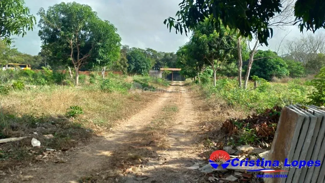Fazenda, 2 hectares - Foto 37