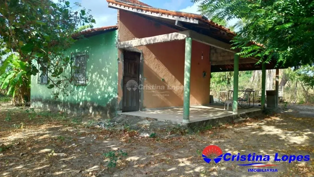 Fazenda, 2 hectares - Foto 24