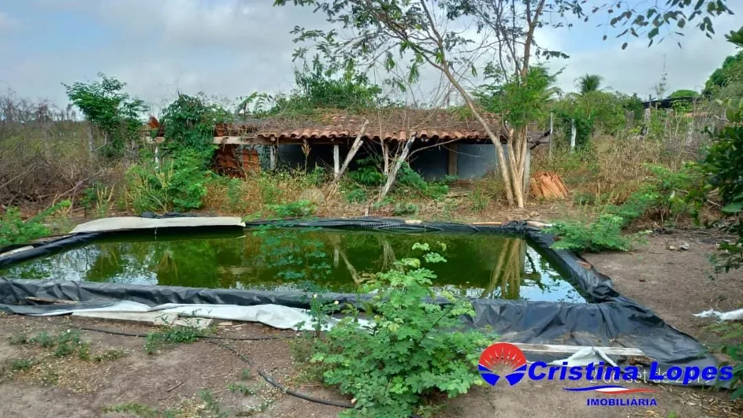 Fazenda, 2 hectares - Foto 12