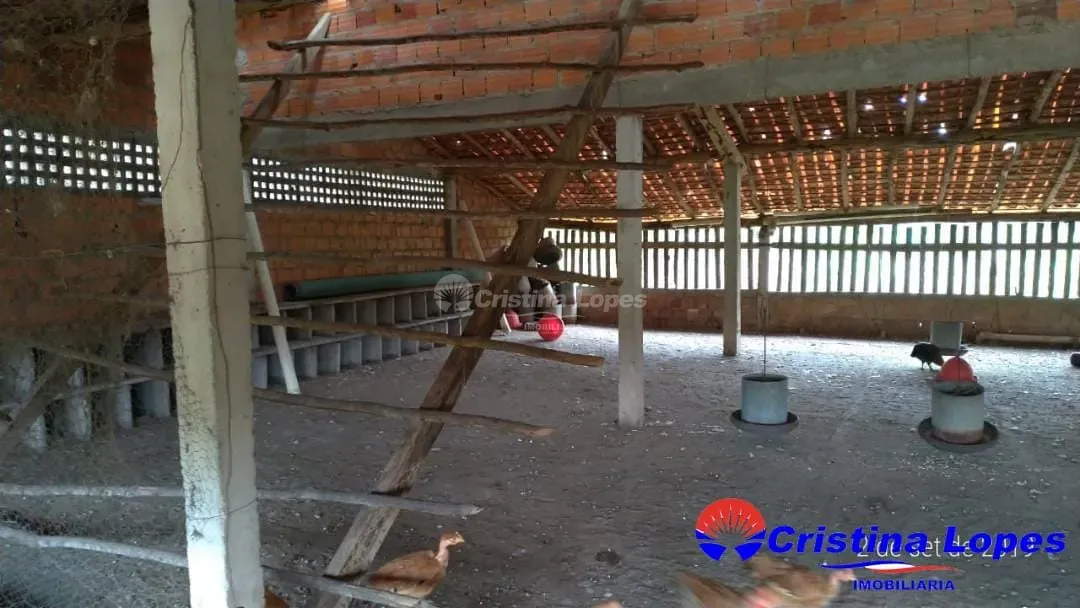 Fazenda, 2 hectares - Foto 16