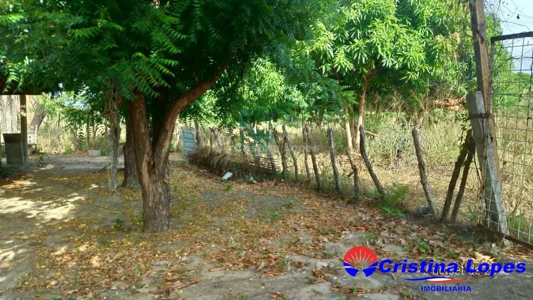 Fazenda, 2 hectares - Foto 27