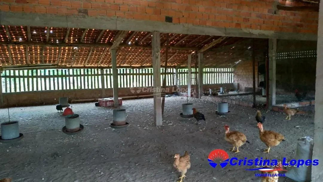 Fazenda, 2 hectares - Foto 15