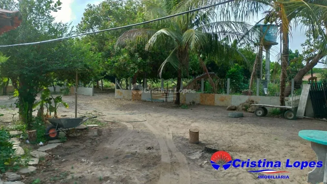 Fazenda, 2 hectares - Foto 7