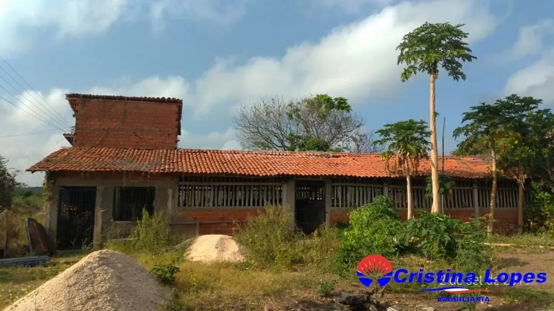 Fazenda, 2 hectares - Foto 21