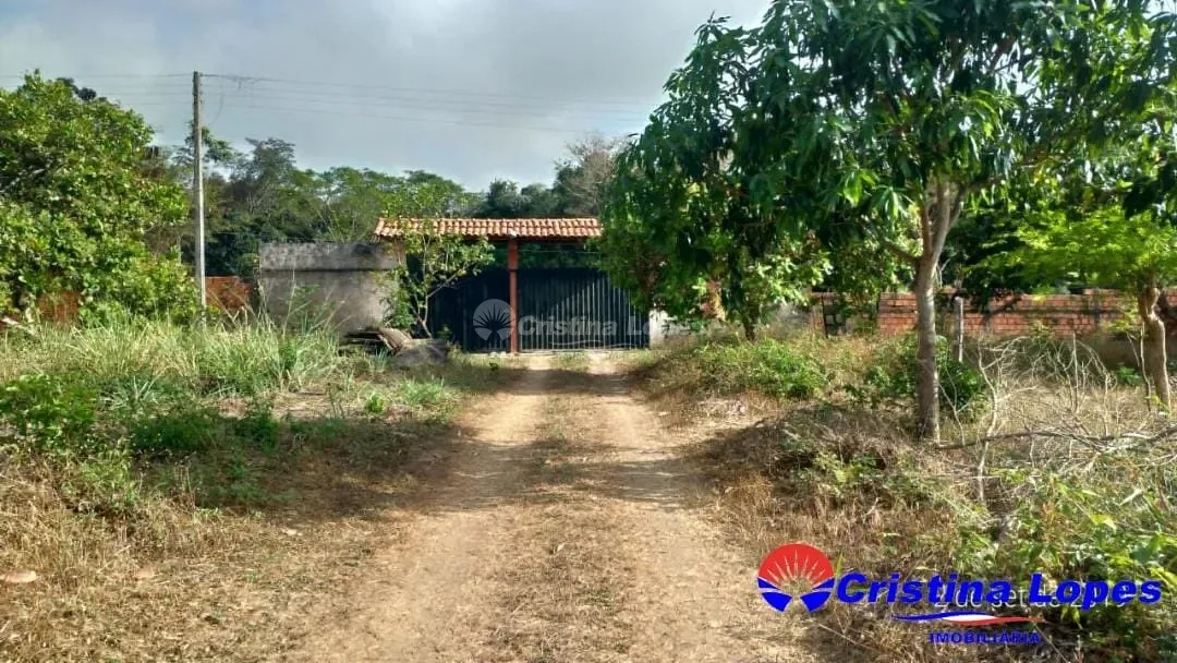 Fazenda, 2 hectares - Foto 32