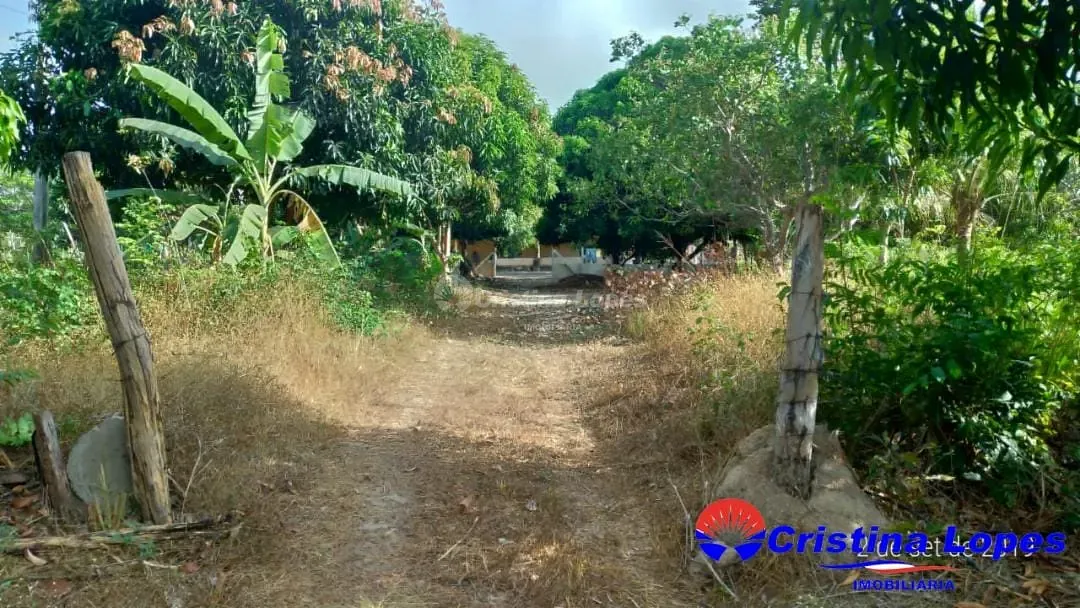 Fazenda, 2 hectares - Foto 30