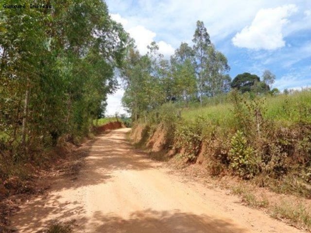 Foto do Sítio - Sítio no Bairro Guiné em Juruaia, com 14.000,00m². | Guaxupé Imóveis Ltda