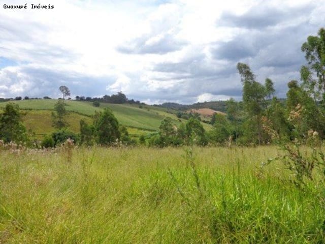 Foto do Sítio - Sítio no Bairro Guiné em Juruaia, com 14.000,00m². | Guaxupé Imóveis Ltda