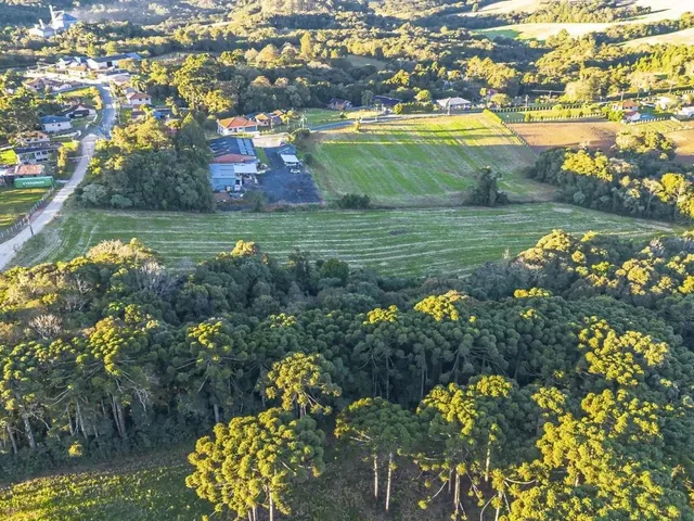 Sítio à venda, no bairro Rondinha em Campo Largo
