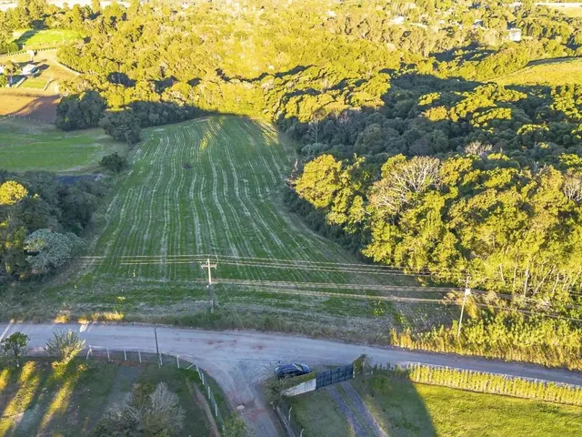 Sítio à venda, no bairro Rondinha em Campo Largo