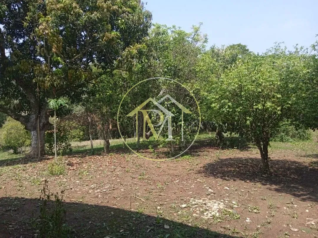 Chácara, 4 quartos, 8 hectares - Foto 6