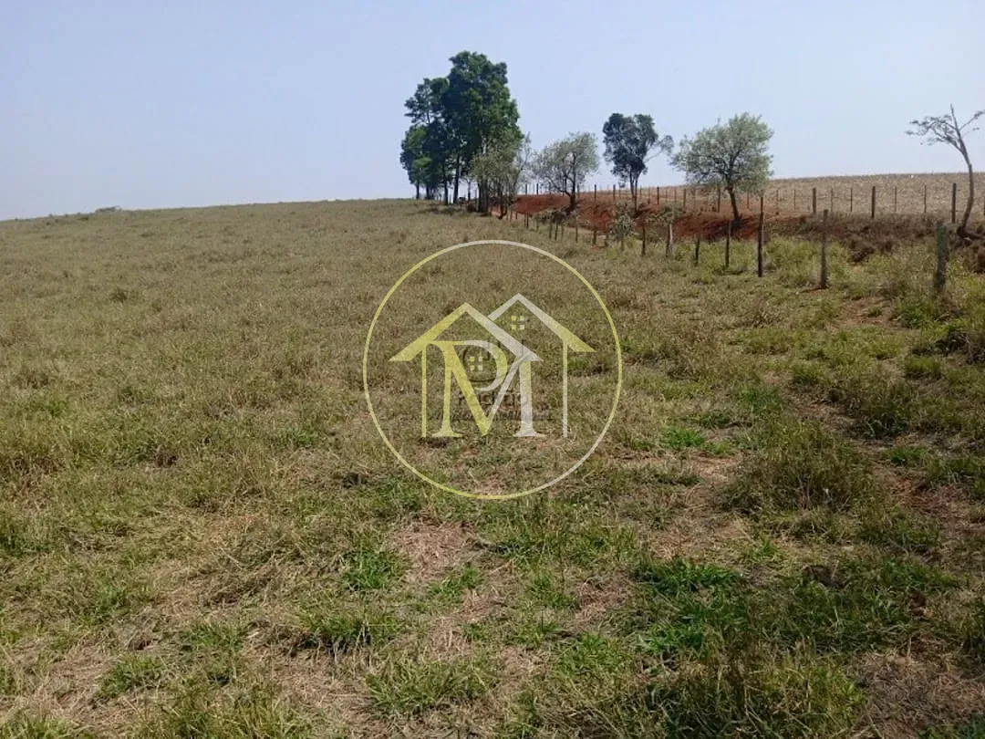 Chácara, 4 quartos, 8 hectares - Foto 18