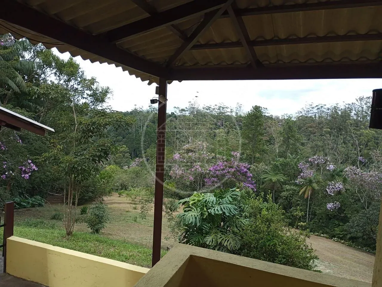 Fazenda, 5 hectares - Foto 19