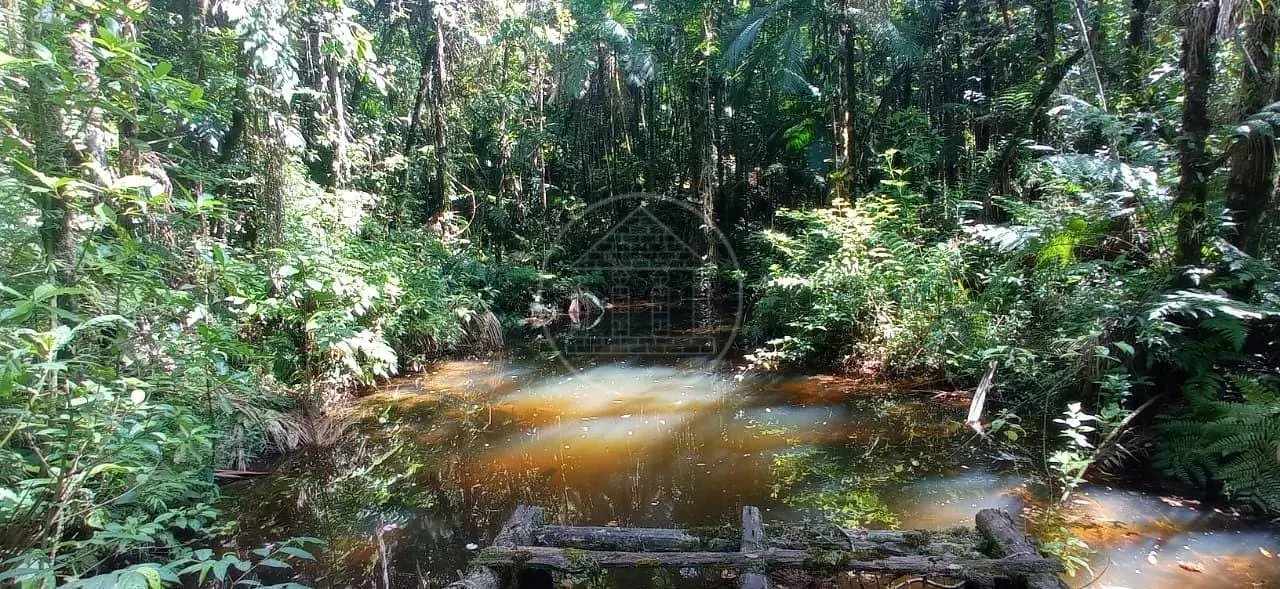 Fazenda, 5 hectares - Foto 25