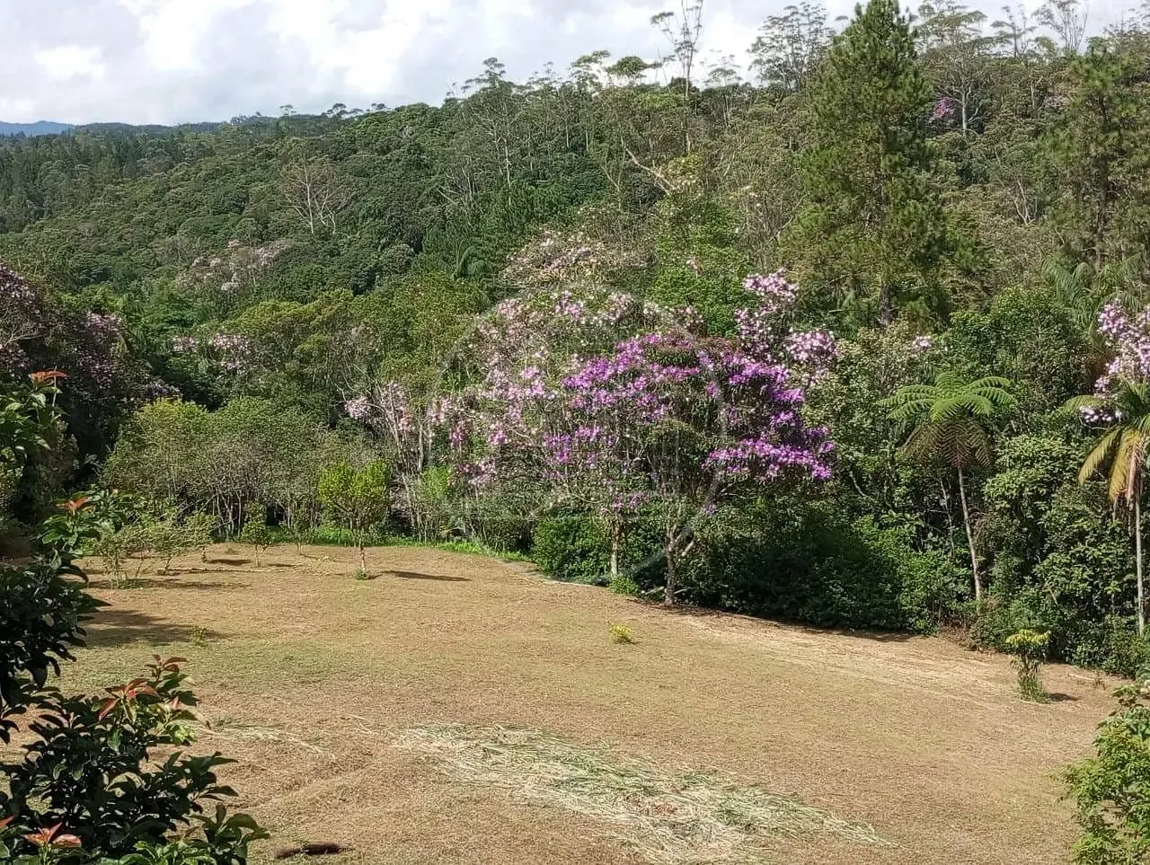 Fazenda, 5 hectares - Foto 29