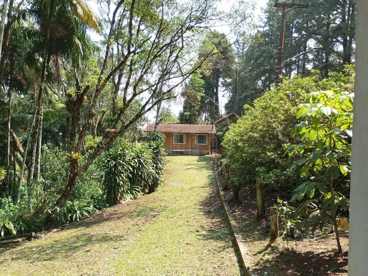 Fazenda, 5 hectares - Foto 30