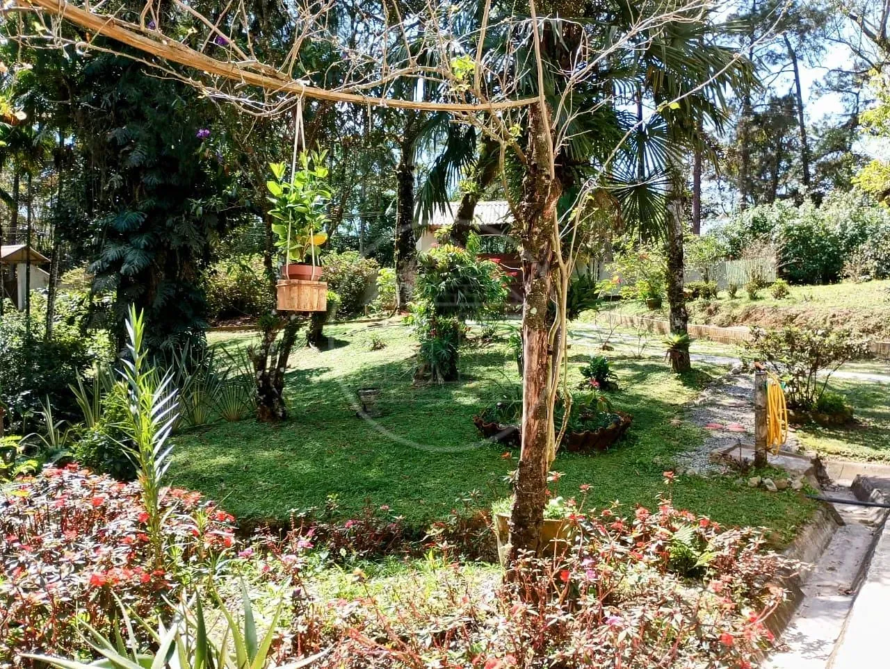 Fazenda, 5 hectares - Foto 27