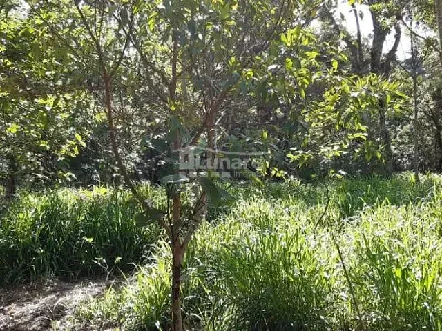 Sítio com 372000m², à venda, no bairro Quatinga em Mogi das Cruzes