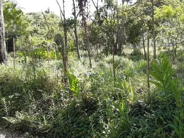 Sítio com 372000m², à venda, no bairro Quatinga em Mogi das Cruzes