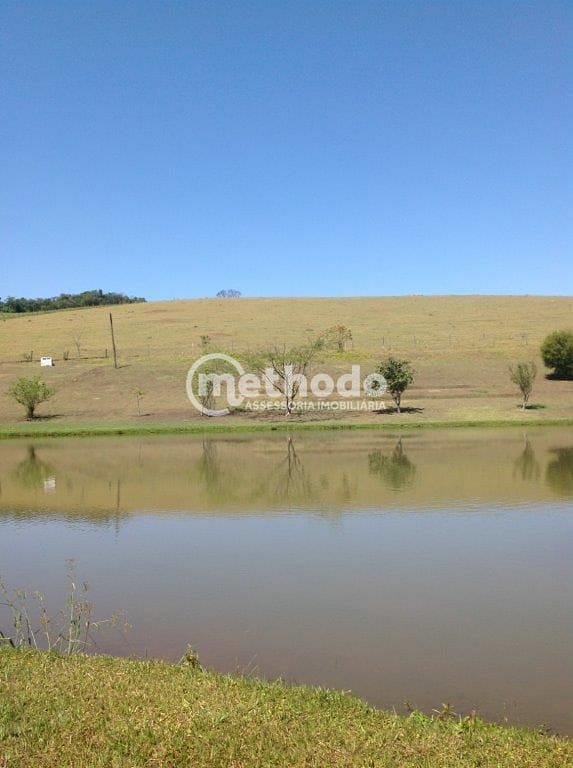 Sítio, 3 quartos, 10 hectares - Foto 7