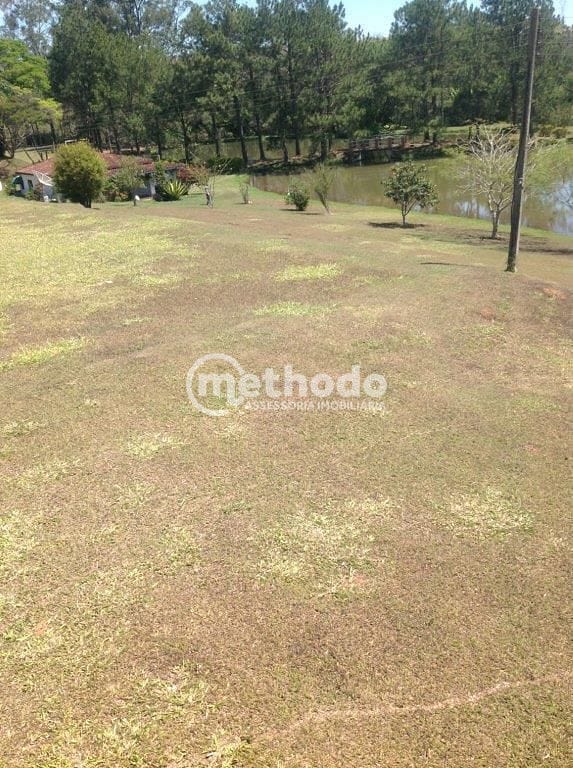 Sítio, 3 quartos, 10 hectares - Foto 12