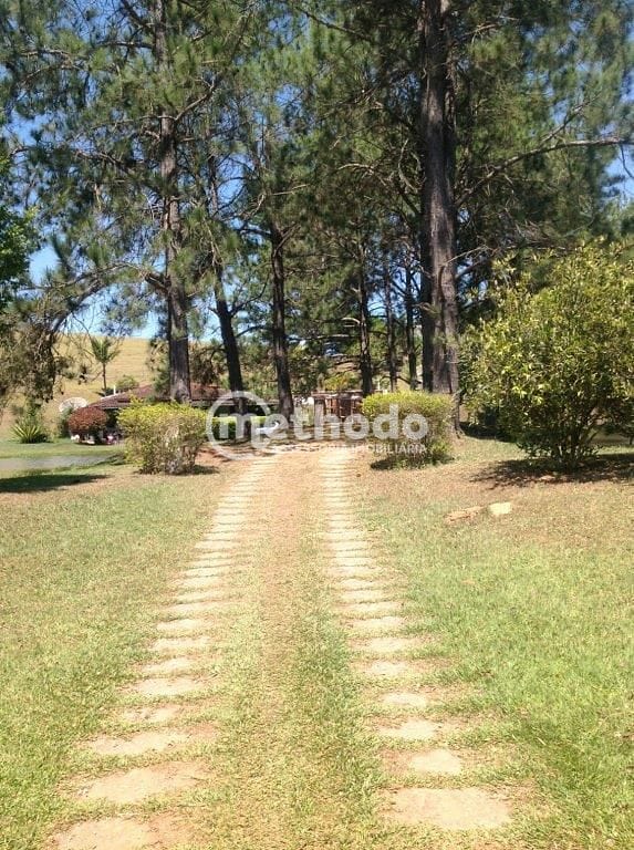 Sítio, 3 quartos, 10 hectares - Foto 10