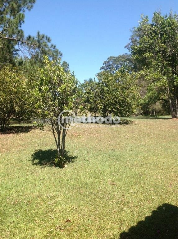 Sítio, 3 quartos, 10 hectares - Foto 11