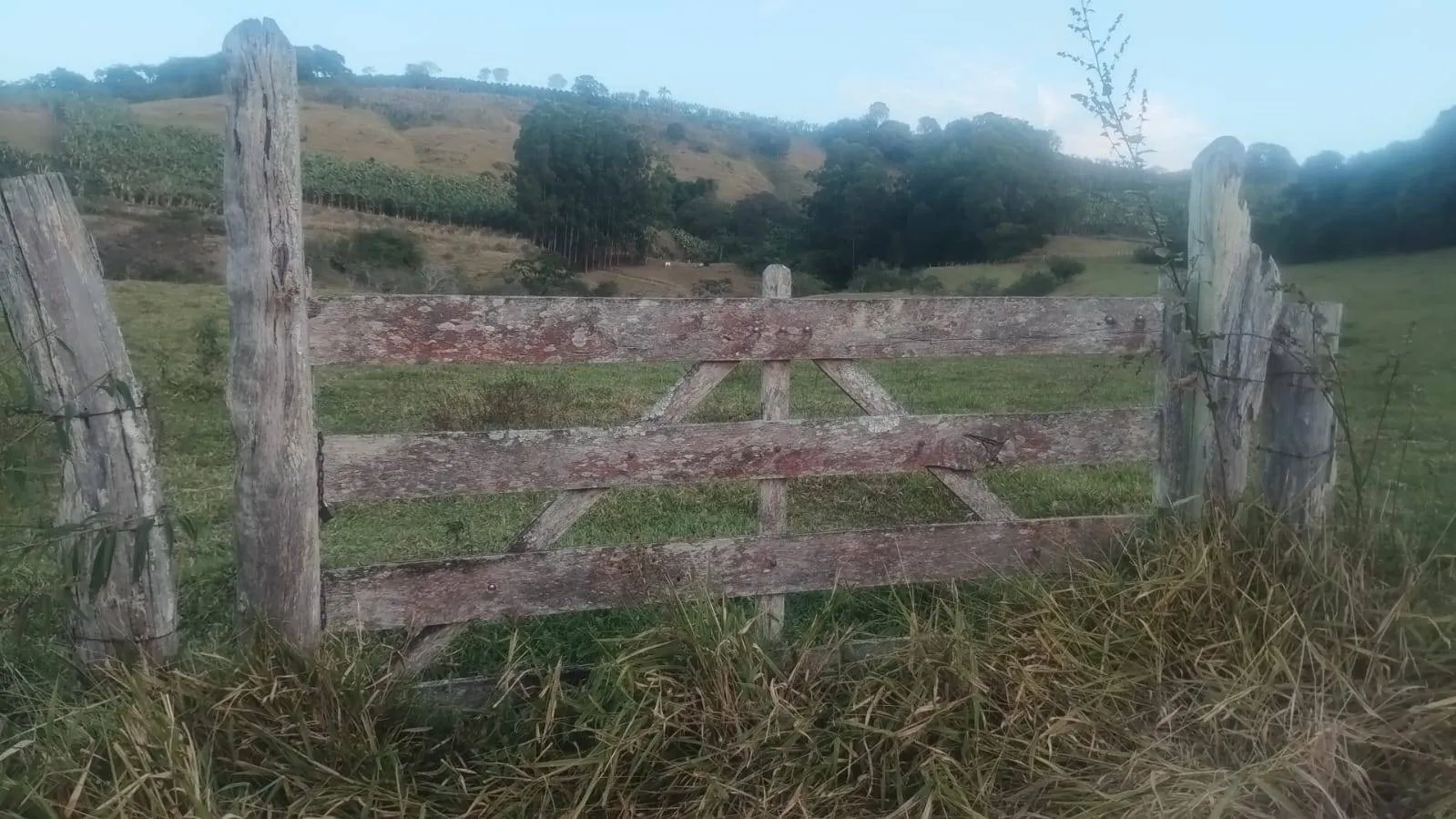 Terreno no Sertaozinho, Pedralva