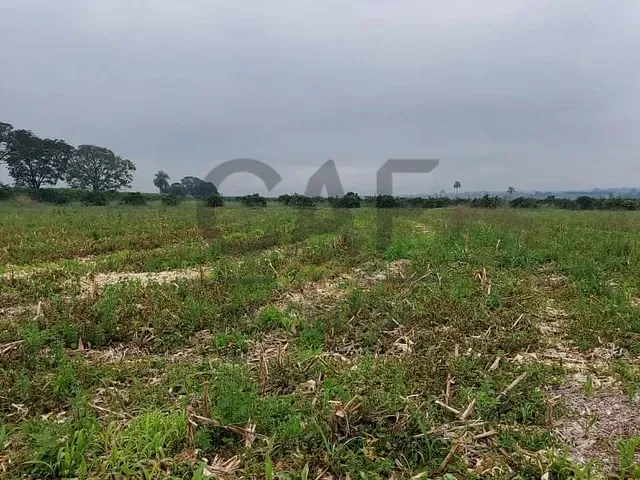 Sítio com 86000m², à venda, no bairro Mato Dentro em Artur Nogueira
