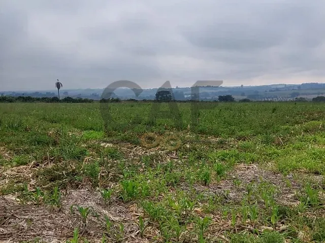 Sítio com 86000m², à venda, no bairro Mato Dentro em Artur Nogueira