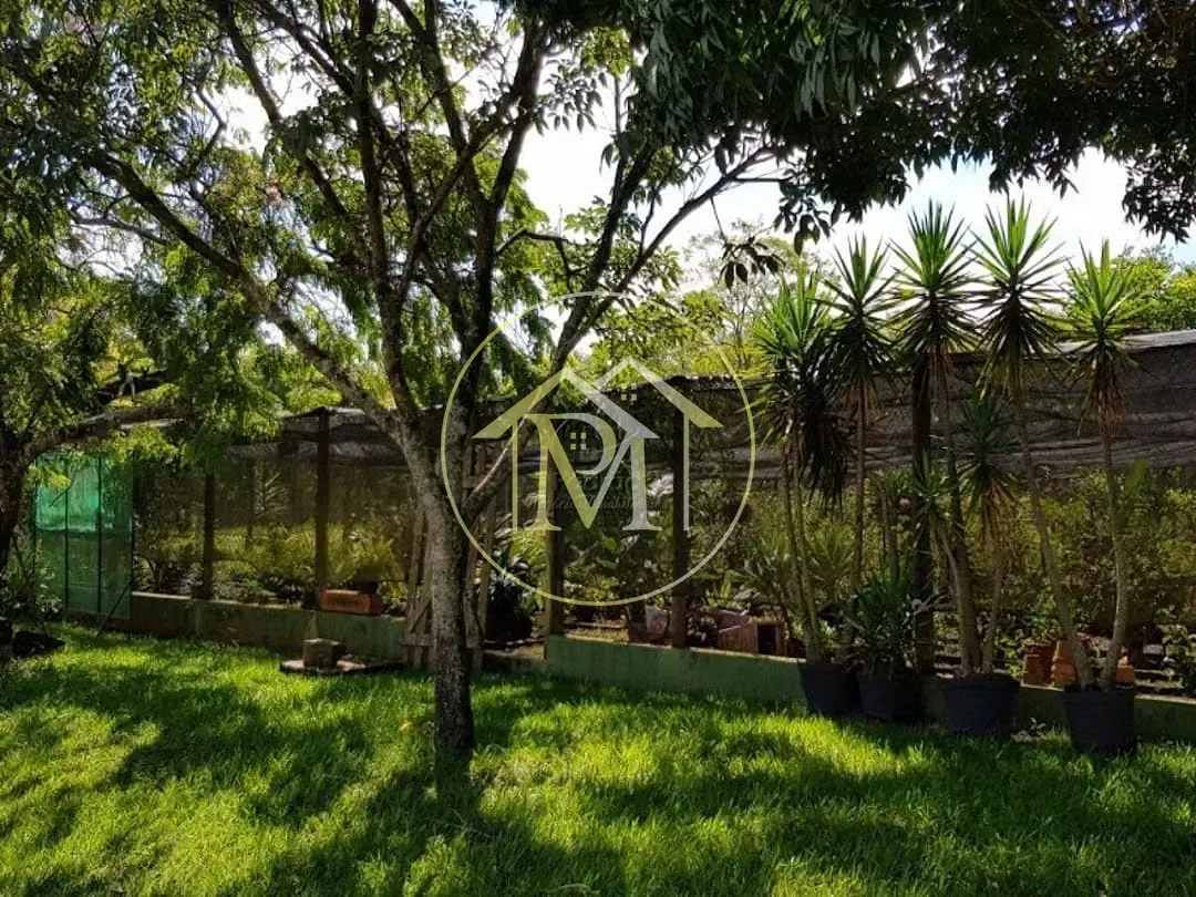 Sítio, 6 quartos, 16 hectares - Foto 6