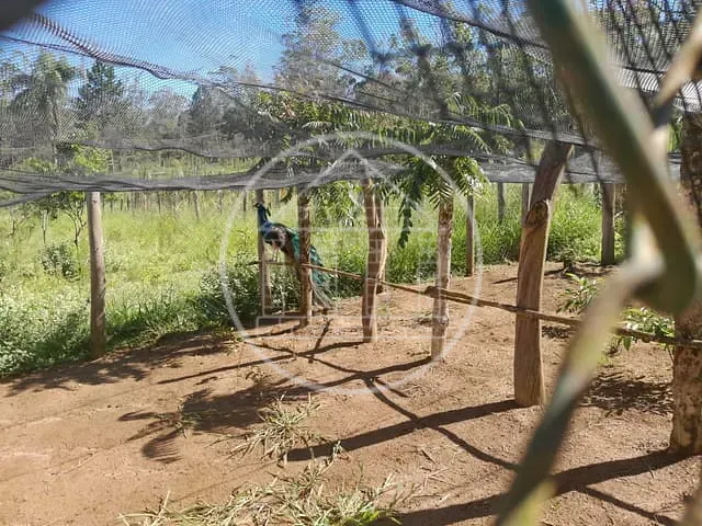 Sítio com 24000m² 3 quartos e 3 banheiros, à venda, no bairro Engenheiro Marsilac em São Paulo