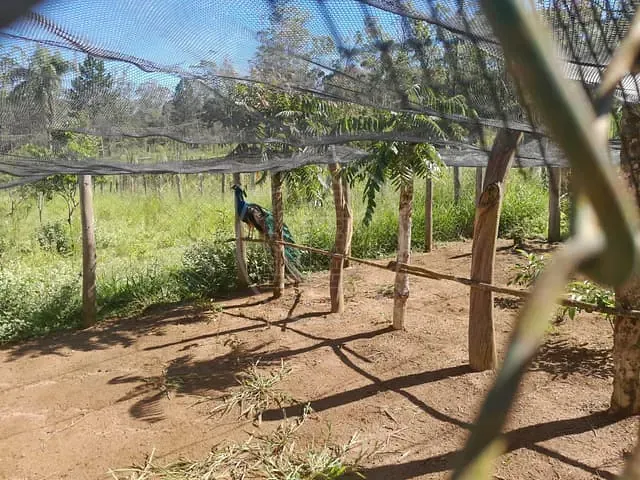 Sítio com 24000m² 3 quartos e 3 banheiros, à venda, no bairro Engenheiro Marsilac em São Paulo