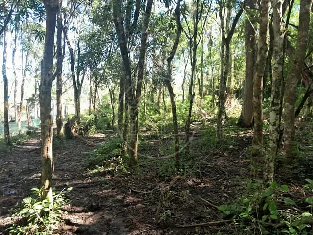 Sítio com 24000m² 3 quartos e 3 banheiros, à venda, no bairro Engenheiro Marsilac em São Paulo