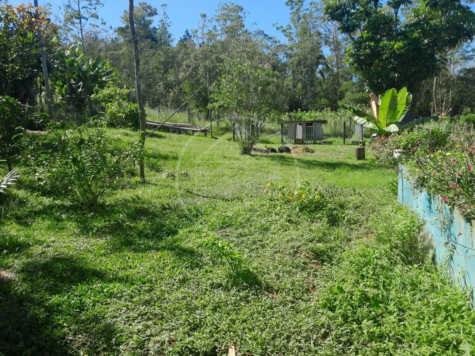 Fazenda, 2 hectares - Foto 6