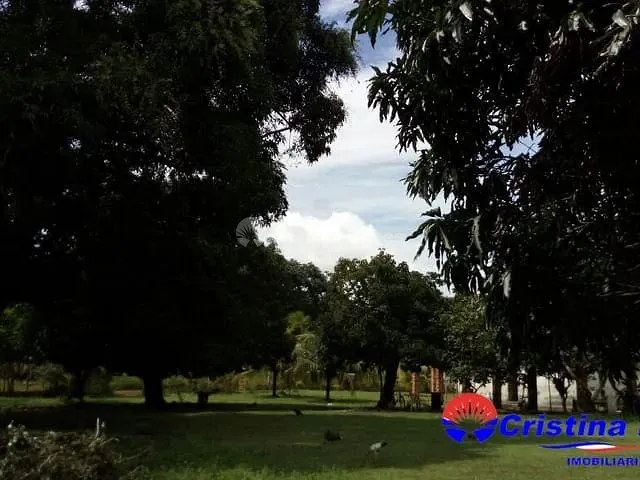 Sítio à venda, no bairro Zona Rural em União