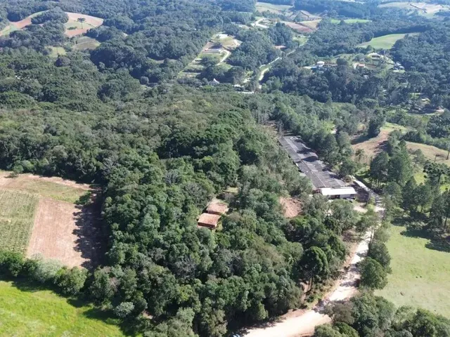 Sítio com 29116m², à venda, no bairro Ferraria em Campo Largo