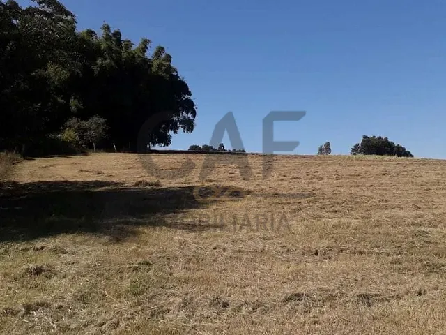 Sítio com 56000m², à venda, no bairro Alegre em Holambra