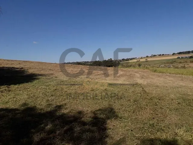 Sítio com 56000m², à venda, no bairro Alegre em Holambra