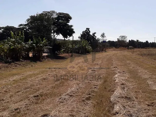 Sítio com 56000m², à venda, no bairro Alegre em Holambra