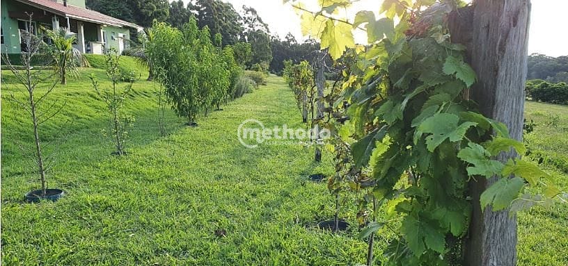 Sítio, 5 quartos, 4 hectares - Foto 29