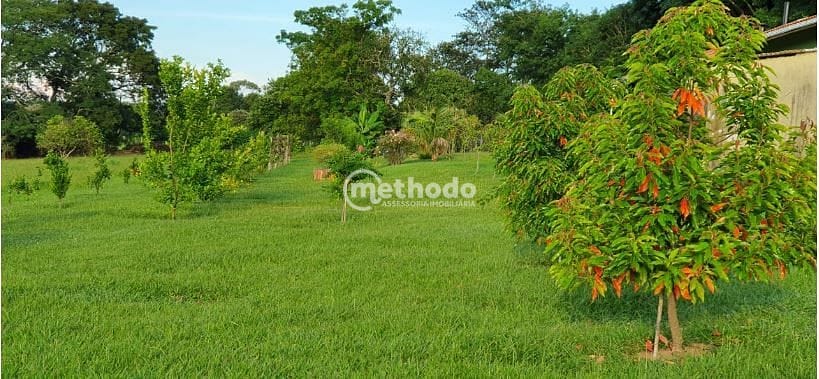 Sítio, 5 quartos, 4 hectares - Foto 52