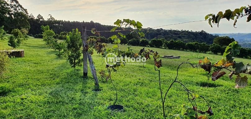 Sítio, 5 quartos, 4 hectares - Foto 32