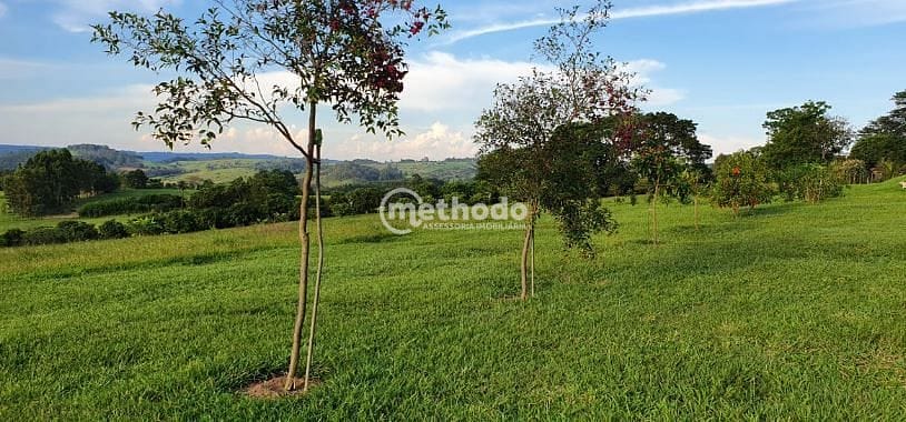 Sítio, 5 quartos, 4 hectares - Foto 46