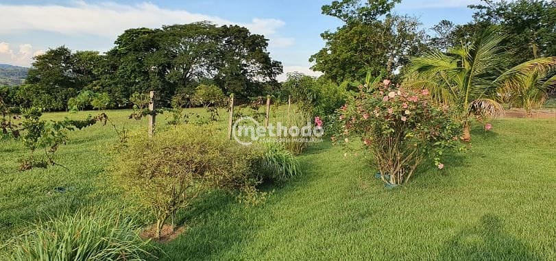 Sítio, 5 quartos, 4 hectares - Foto 36